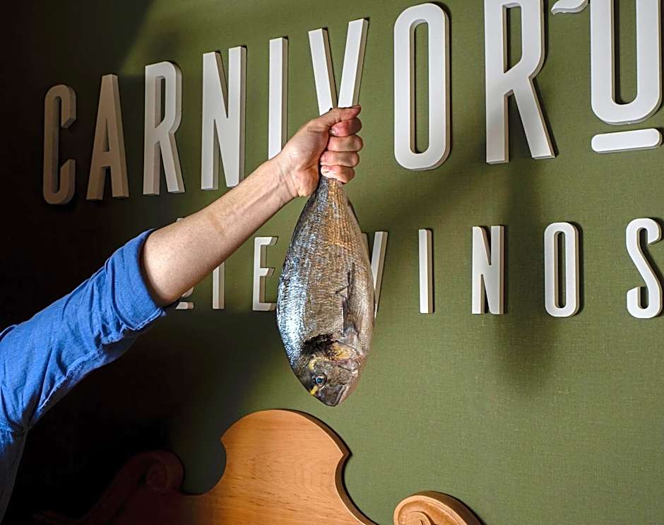 Hotel Ciudad del Sol