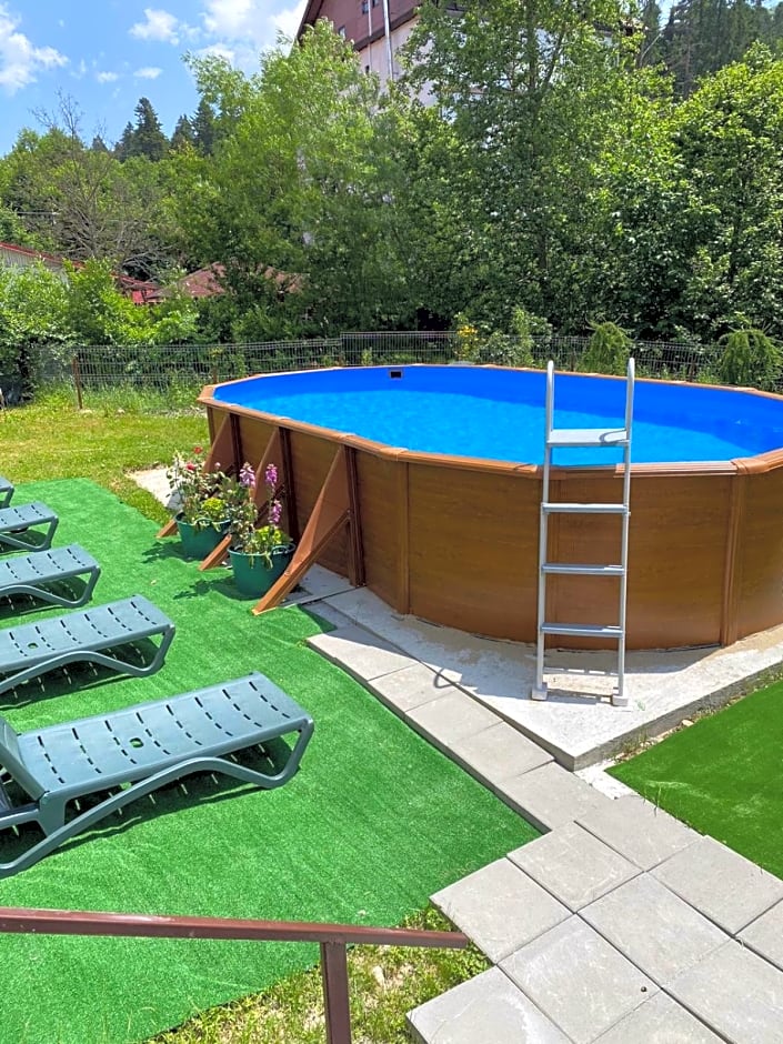 Atrium Hotel Mountain View Predeal