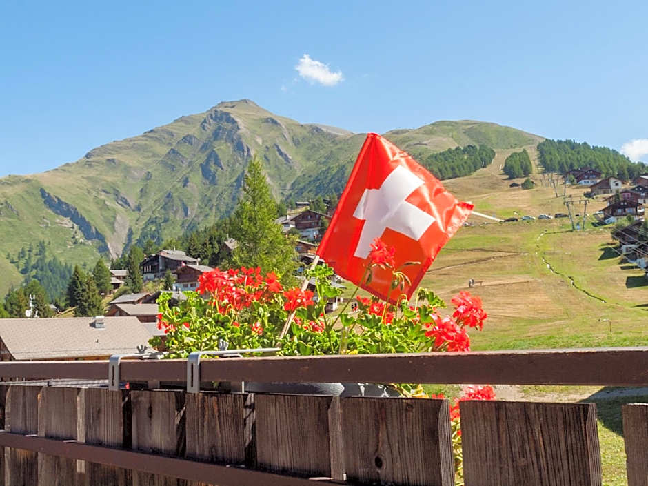 Gruppenhaus im Walliser Alpstyle