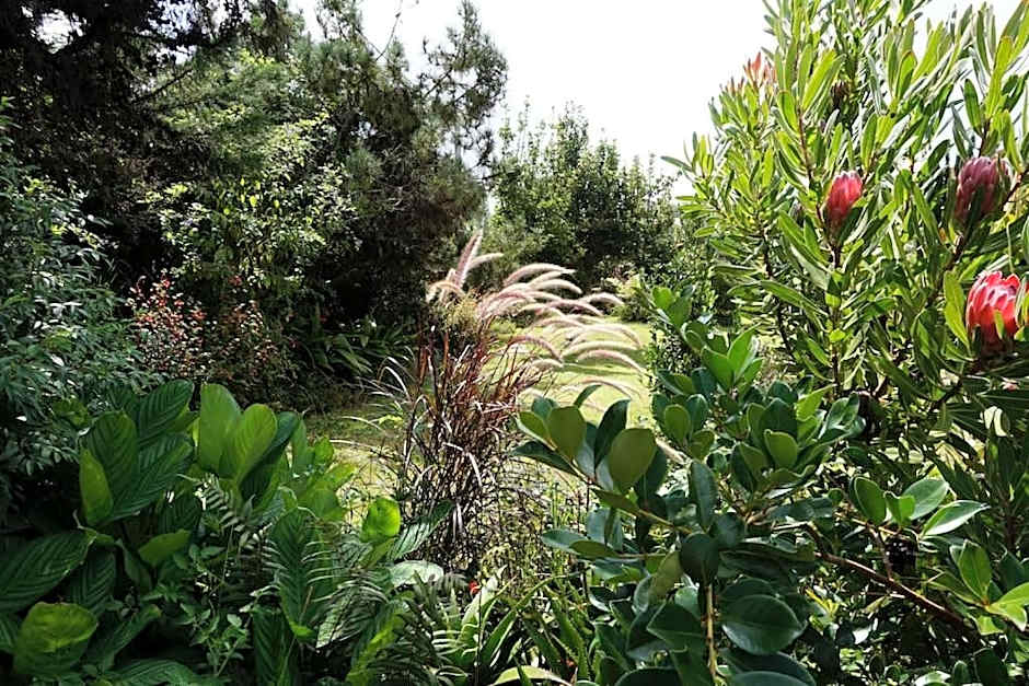 JARDIN SECRET, Bas de villa TOUT CONFORT