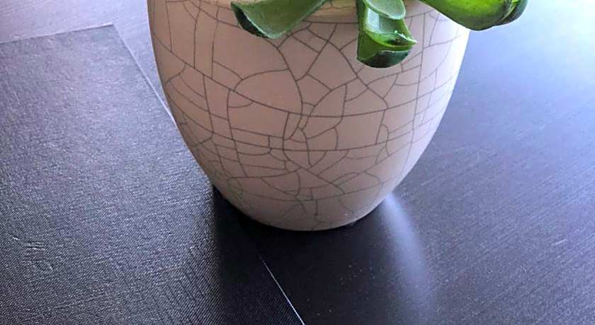 Adelaide Airport Motel