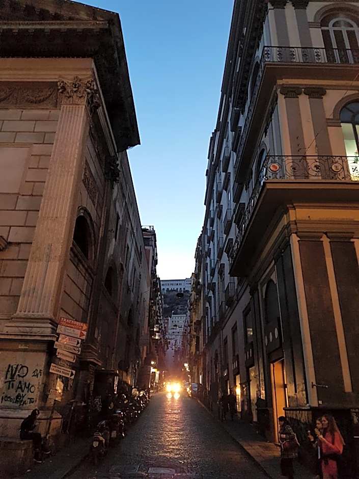 Il Giardino Di Vico Neve