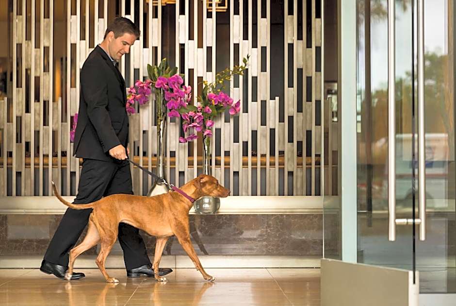 Four Seasons Hotel Silicon Valley At East Palo Alto