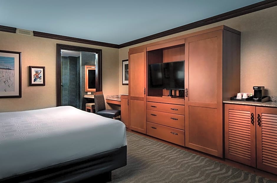 Seneca the Younger visual data 8