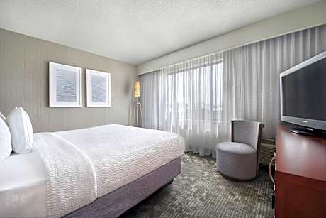 One-Bedroom King Suite with Sofa Bed