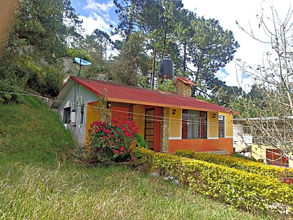 Hotel Villa De Las Flores