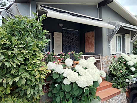 Superior Bungalow
