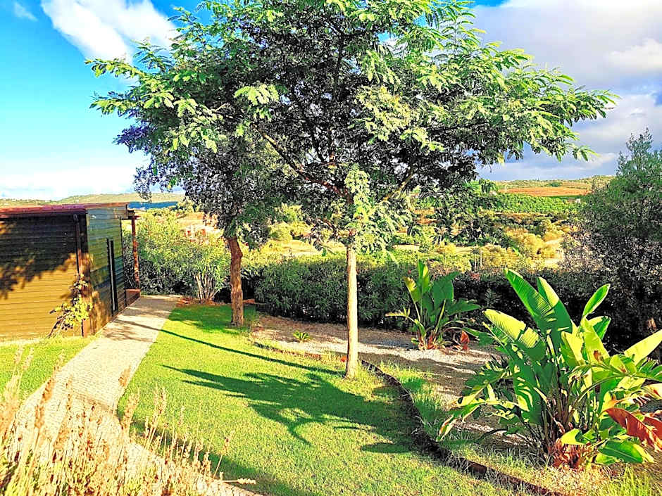 Gato Preto de Silves - Adults Only