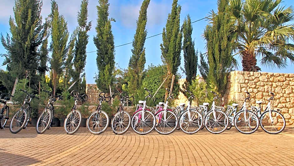 Bella Elena by Estia