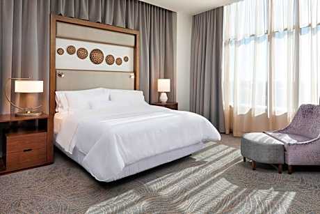 Presidential Suite, 1 King