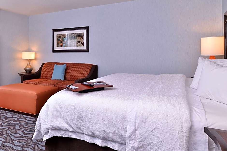 Photo 1 of 6 of 1 King Bed with Sofabed, Hearing Accessible