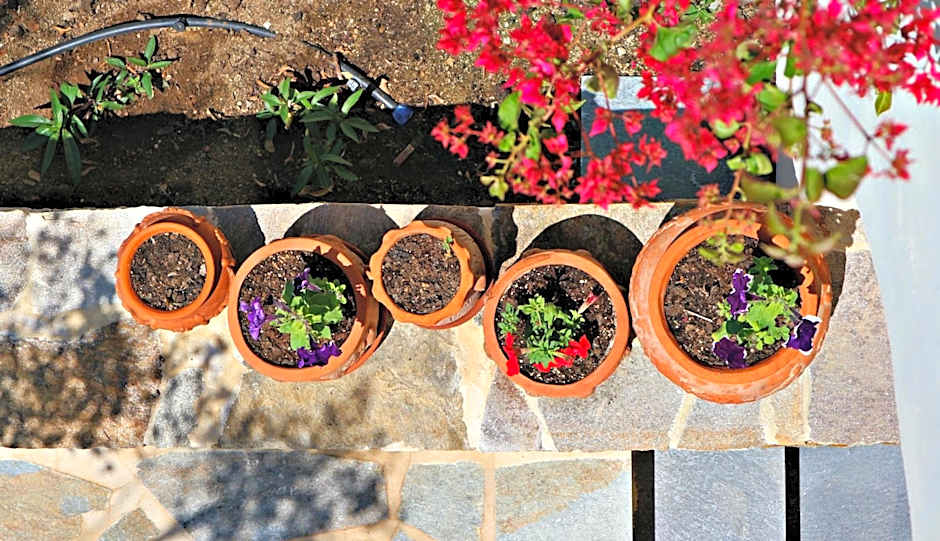 Proteas Hotel & Suites