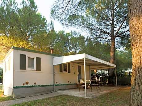 Mobile Home with Kitchen