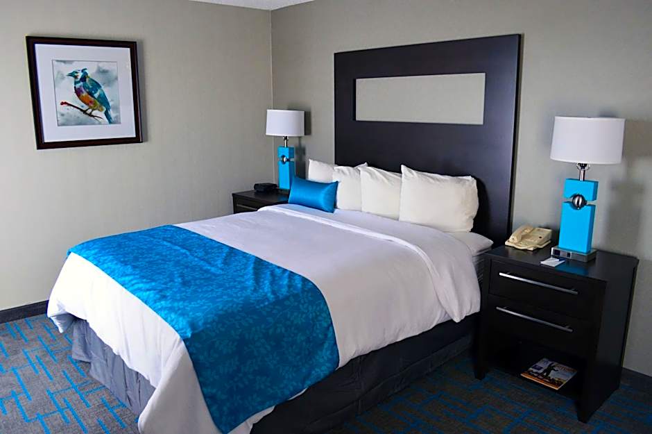 Holiday Inn & Suites Syracuse Airport - Liverpool By IHG