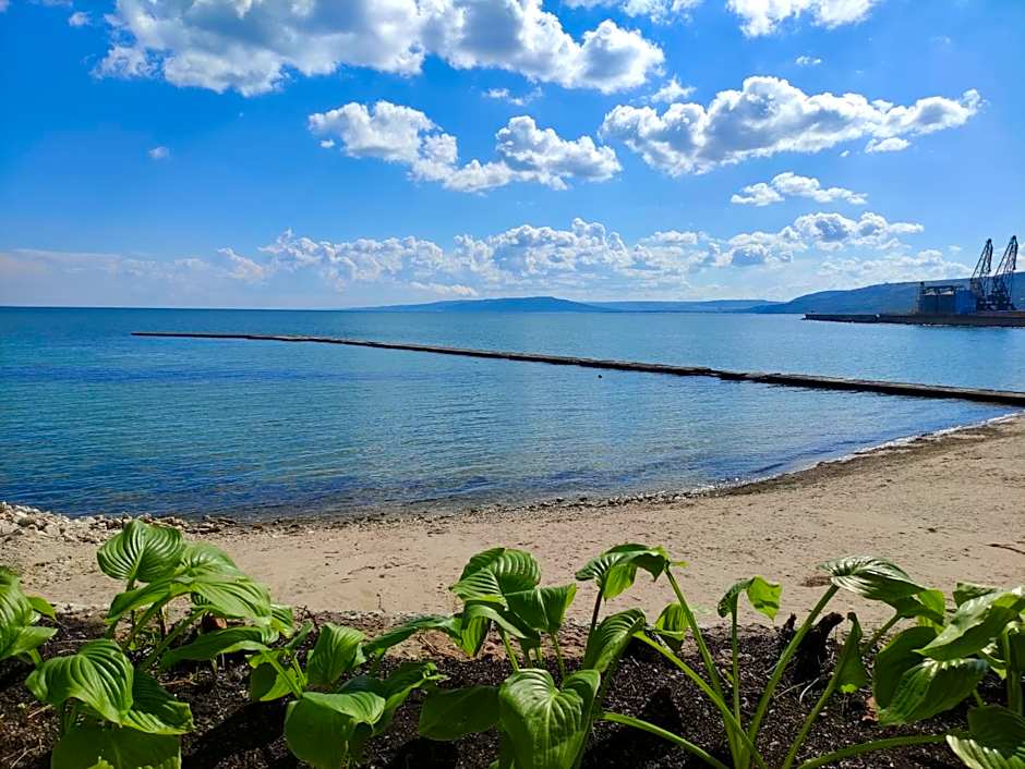 Hotel Oasis - Beach Access