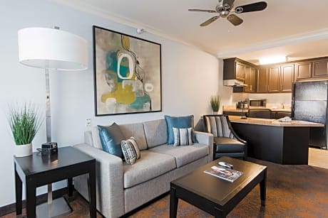 Accessible - Suite King Bed, Mobility Accessible, Roll In Shower, Sofabed, Kitchen, Non-Smoking, Ful