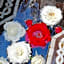 Riad Viva