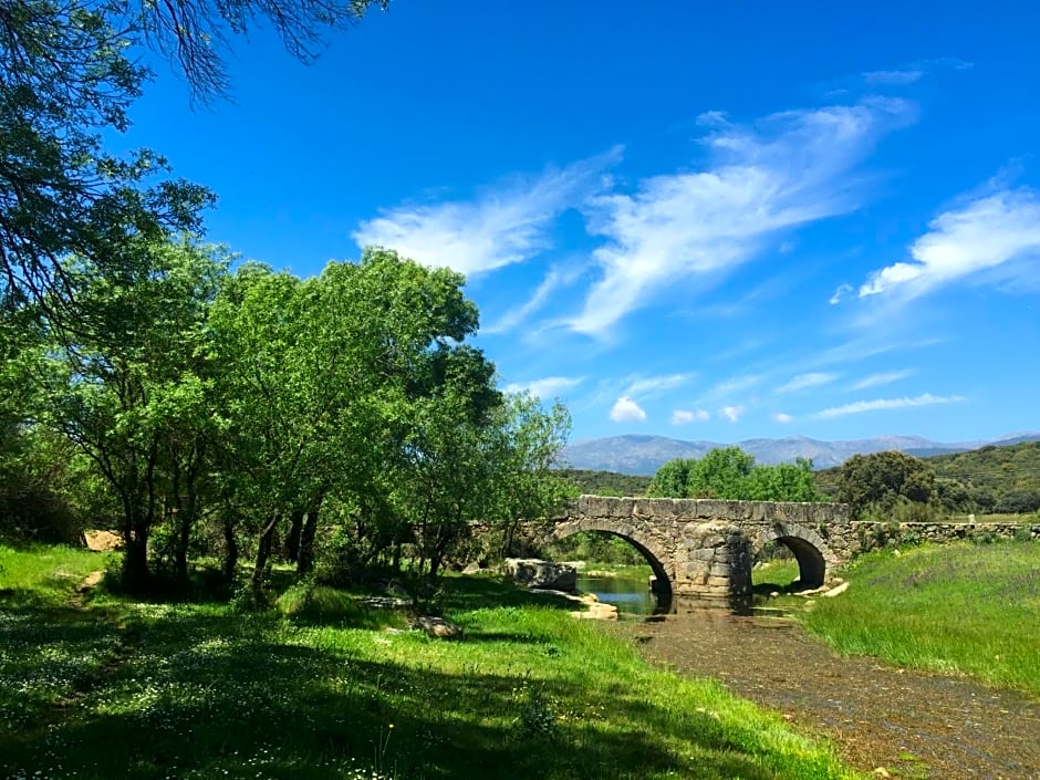 Complejo Rural Los Jarales