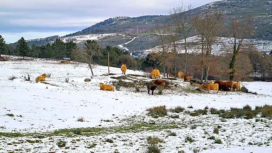 Quinta de Santo Estêvão Hotel Rural