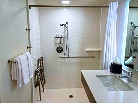 1 King Standard Mobility Accessible Roll In Shower
