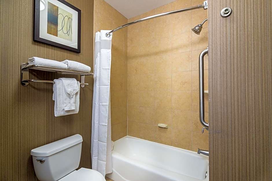 Holiday Inn Arlington Northeast By IHG