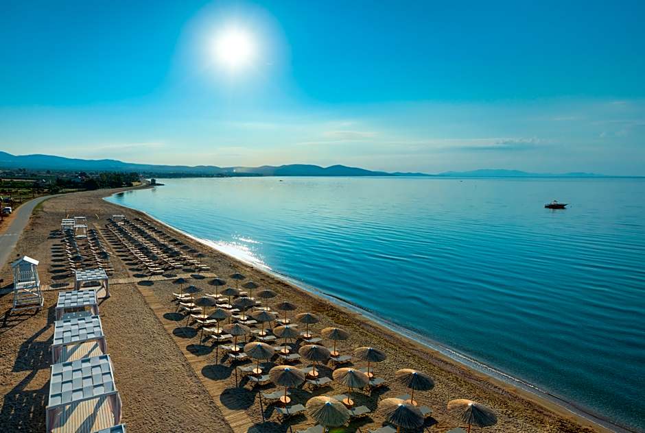 Blue Lagoon Princess