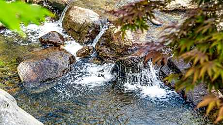 Gapyeong Yumyeongsan Gomone pet Camping