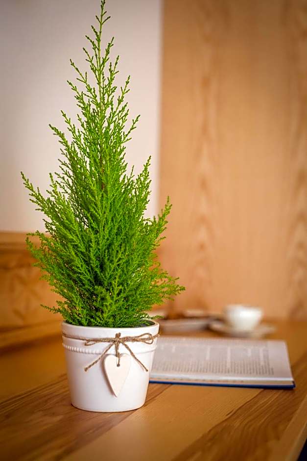 Willa Góralsko Riwiera