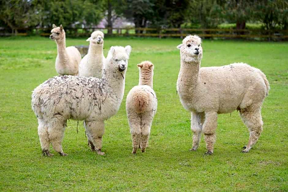 English Cherry Tree Manor