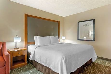 Queen Room with Bathtub - Disability Access
