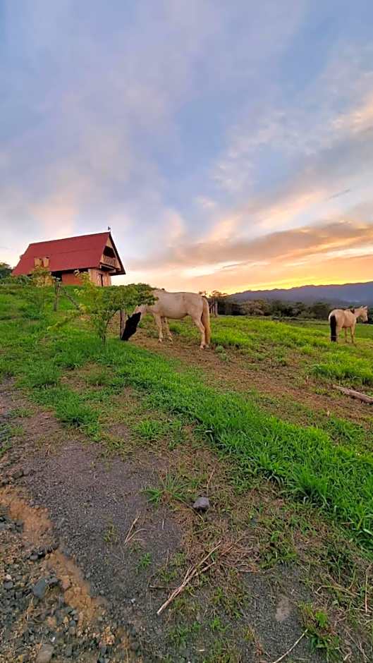 Chalé das Margaridas