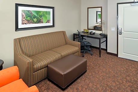 1 King Bed Junior Suite With Sofabed