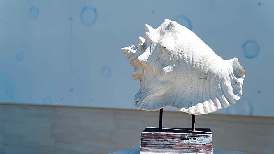 Frontemare 25 Beach Hotel