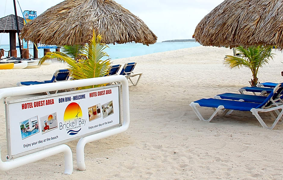 TRYP by Wyndham Aruba Adults Only Hotel