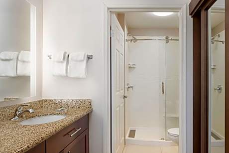 Suite, 1 Bedroom (1 Queen Bed and 1 Double Sofa Bed)