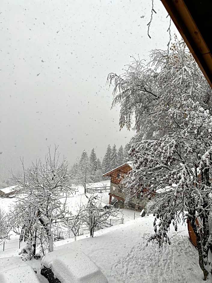 Albergo Ristorante Al Fratè da Streza