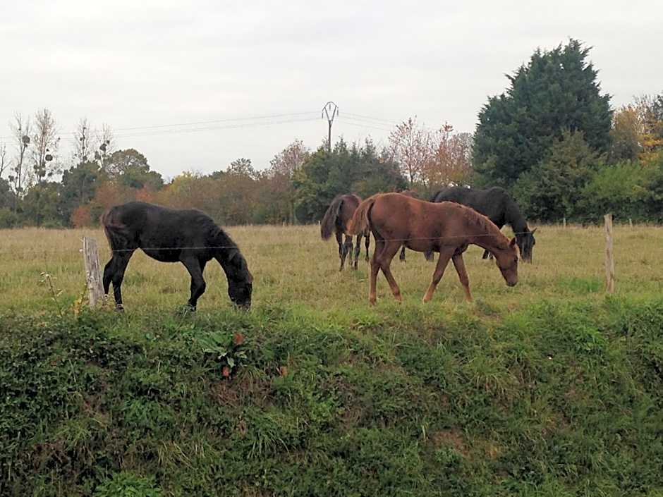 Marie France 's home