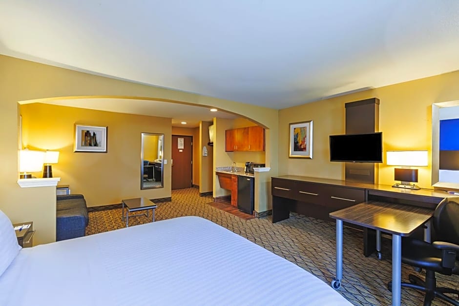 Holiday Inn Express Hotel & Suites Houston-Downtown Convention Center