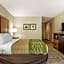 Quality Inn Summerville-Charleston