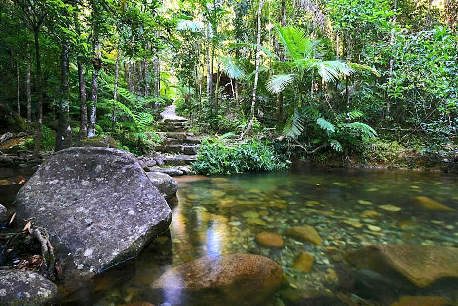 Daintree Cascades