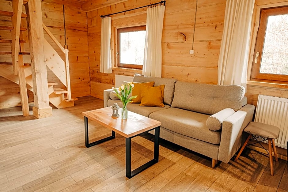 Bieszczadzkie Chatki - Willa Stasia