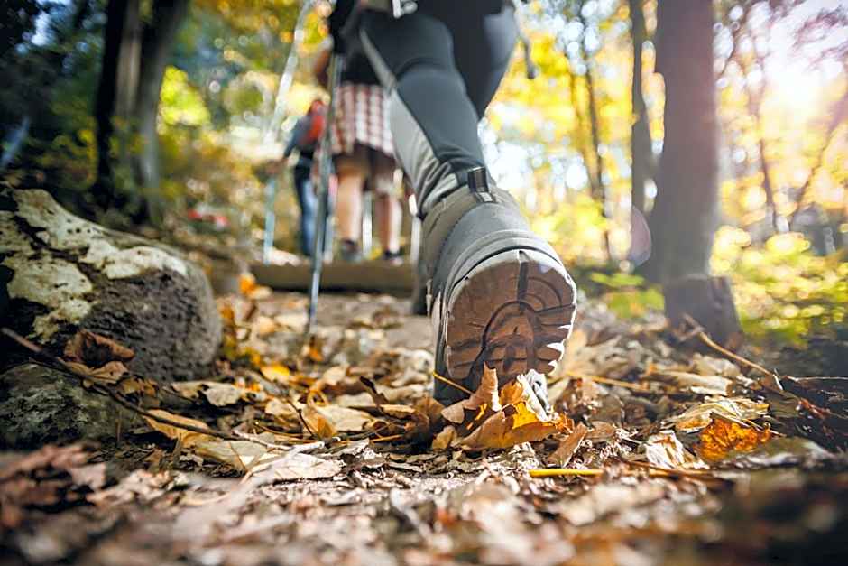 Weitblick Winterberg
