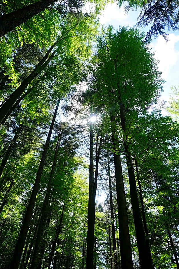 Ehrenmättlehof Faißt