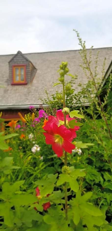 Auberge Le P'tit Bonheur