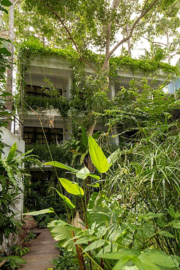 Big Tree Boutique Hotel