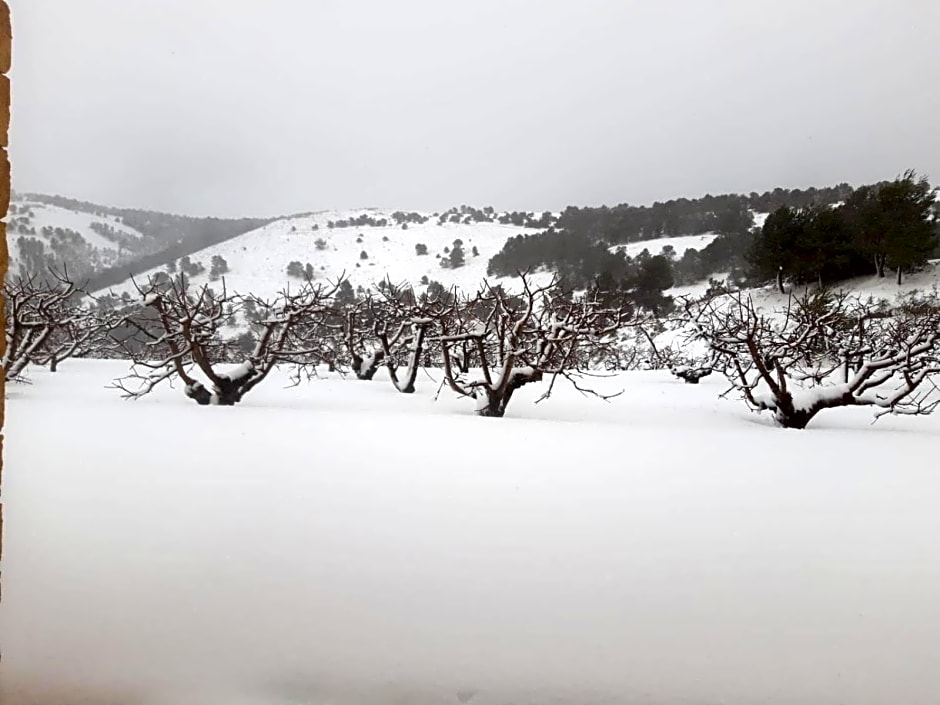 FINCA LA FOIA EL POU