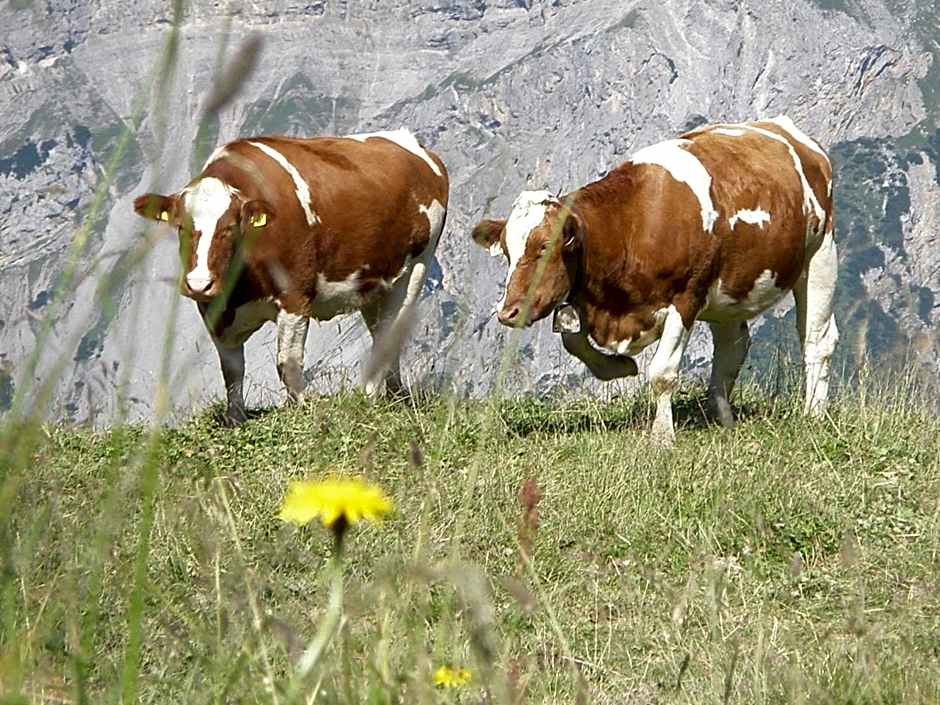 Hotel Gasthof Jäger Zillertal