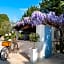 Hôtel Beau Site - Cap d'Antibes