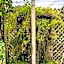 Pousada das Pedras
