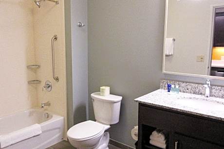 Efficiency King Suite - Non-Smoking